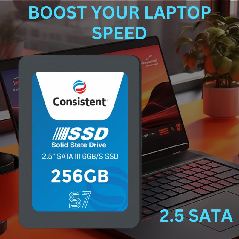 Consistent SSD 256GB 2.5 Inch SATA Internal SSD | Amrkart